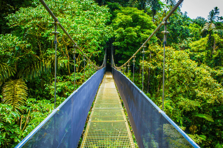 Guided Tour of Mistico Hanging Bridges