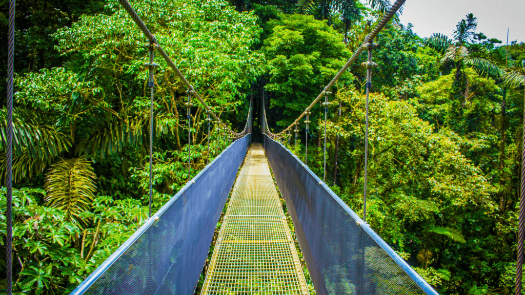 Guided Tour of Mistico Hanging Bridges