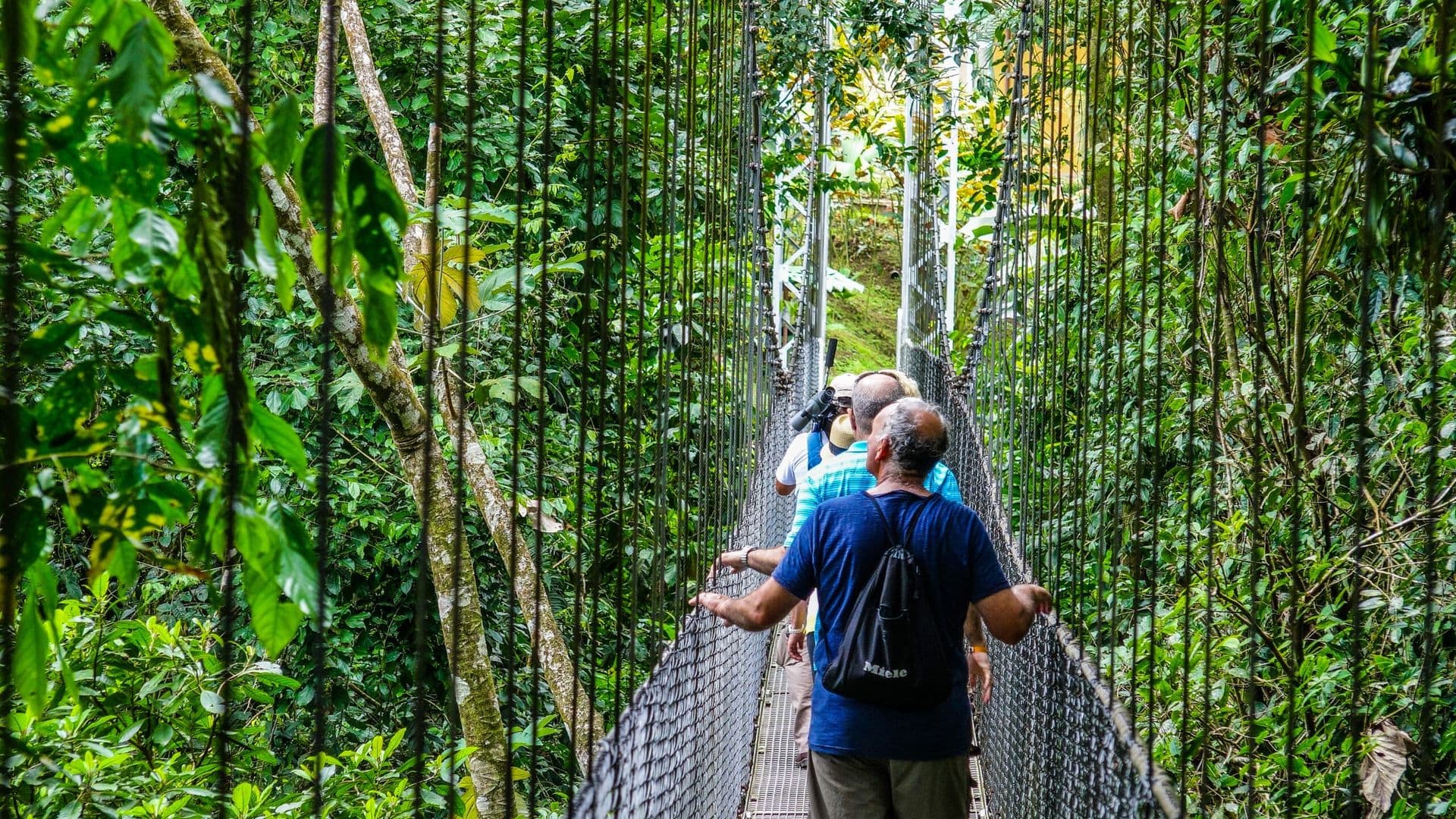 Mistico Park Hanging Bridges