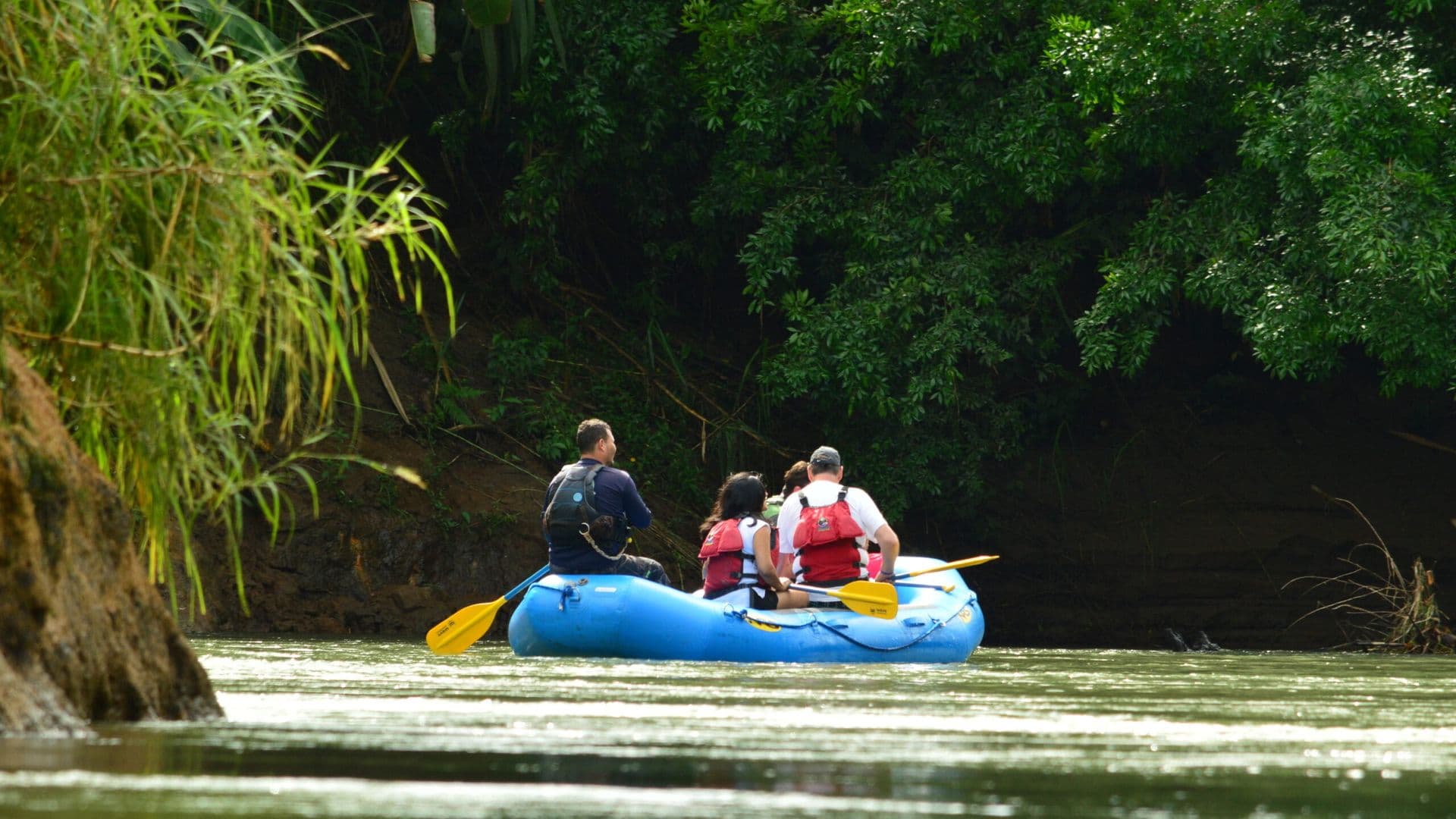 Budget Adventure — Rainforest and Beach